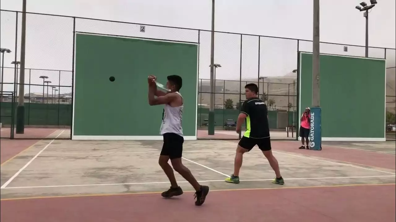 PALETA FRONTON